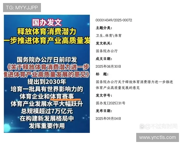 以体育行业规范为核心推动产业高质量发展体系构建研究路径与实践