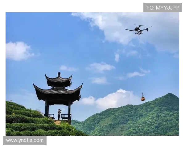 无人机摄影视角下的城市山川与自然风光创新表达探索创新路径研究 - 副本 - 副本 - 副本 无人机摄影视角下的城市山川与自然风光创新表达探索创新路径研究 - 副本 - 副本 - 副本