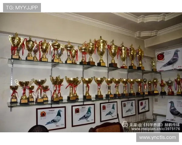 纵览百年风云激荡的世界体育历史回顾与传奇瞬间发展脉络与战史全 - 副本 (5) - 副本 - 副本 纵览百年风云激荡的世界体育历史回顾与传奇瞬间发展脉络与战史全 - 副本 (5) - 副本 - 副本