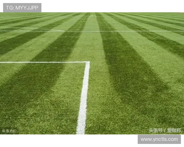 聚焦世界杯草坪专家访谈揭秘绿茵场养护背后的科技与匠心创新实践之道 - 副本 (4)