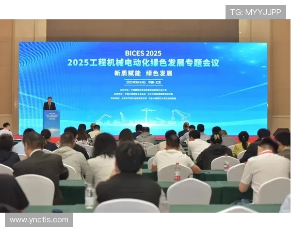 聚焦世界杯用户评论审核机制优化与风险防控策略研究升级路径探讨 - 副本 (3)